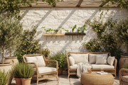 Hydroponic Wall Planters: A Minimal Way to Bring Nature Indoors
