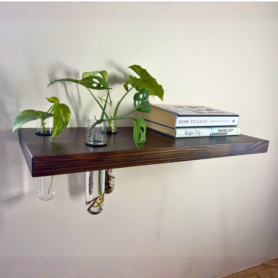 Cell 3 – Solid Wood Floating Shelf | Classic Walnut Matt | 2 Ft × 9 In