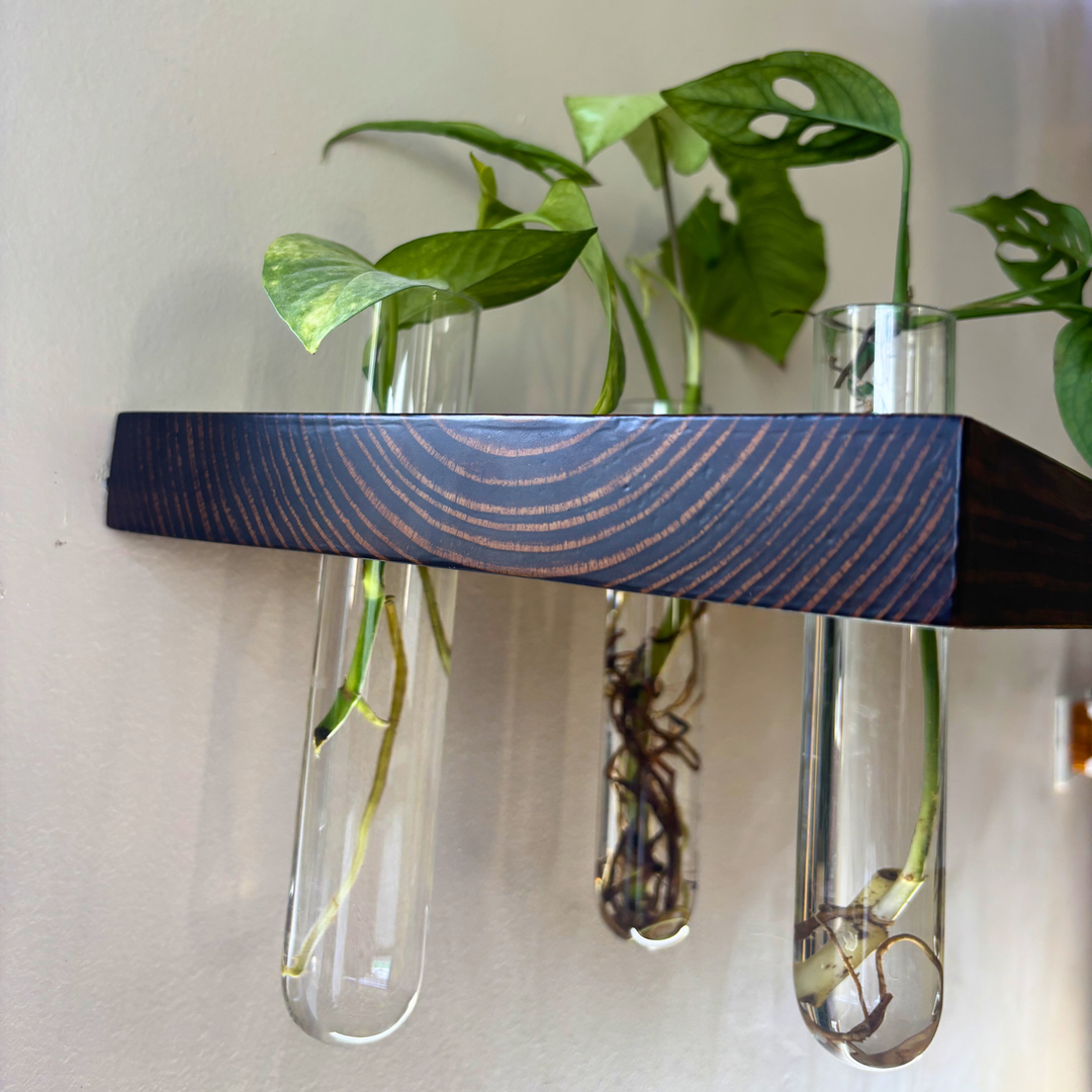Cell 3 – Solid Wood Floating Shelf | Classic Walnut Matt | 2 Ft × 9 In