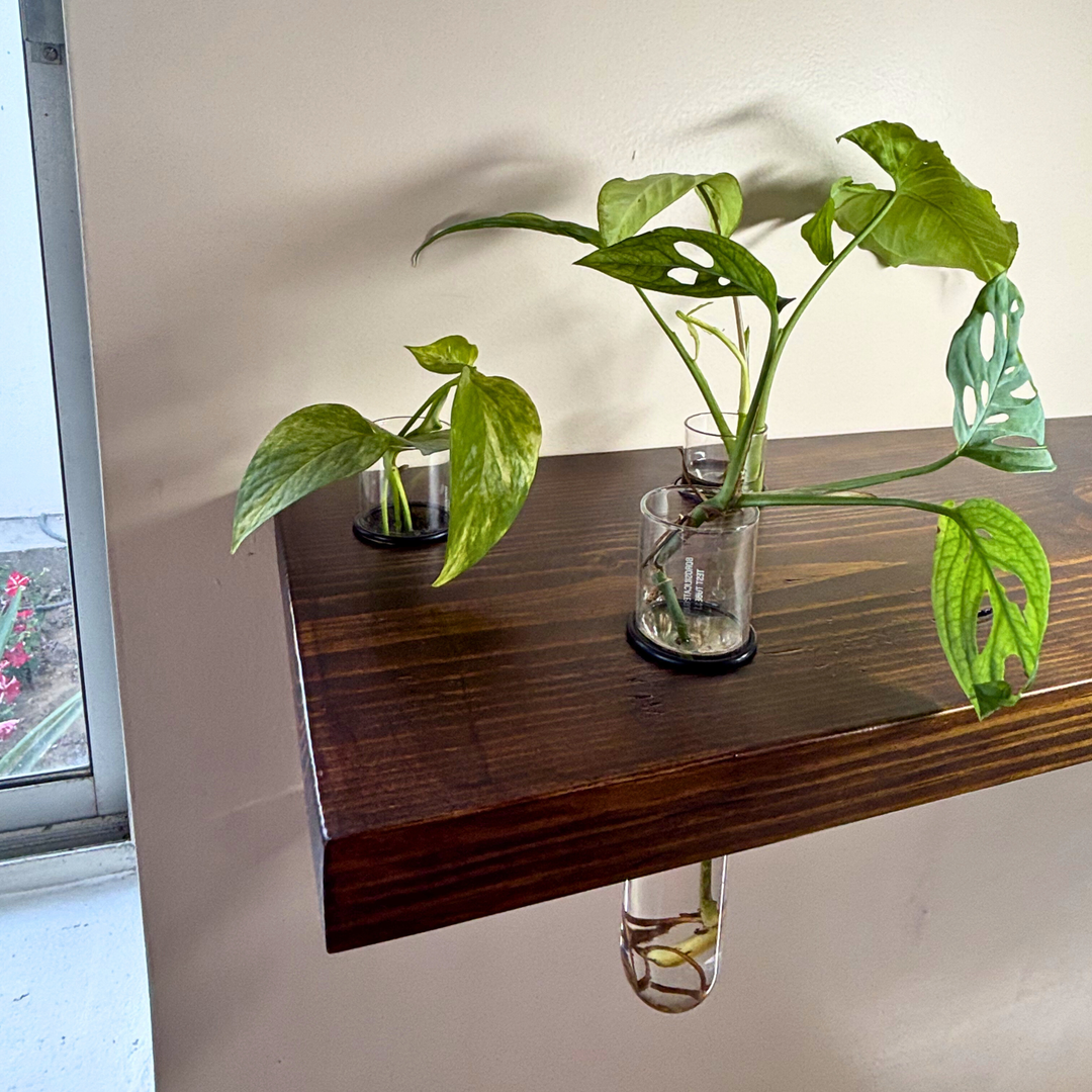 Cell 3 – Solid Wood Floating Shelf | Classic Walnut Matt | 2 Ft × 9 In