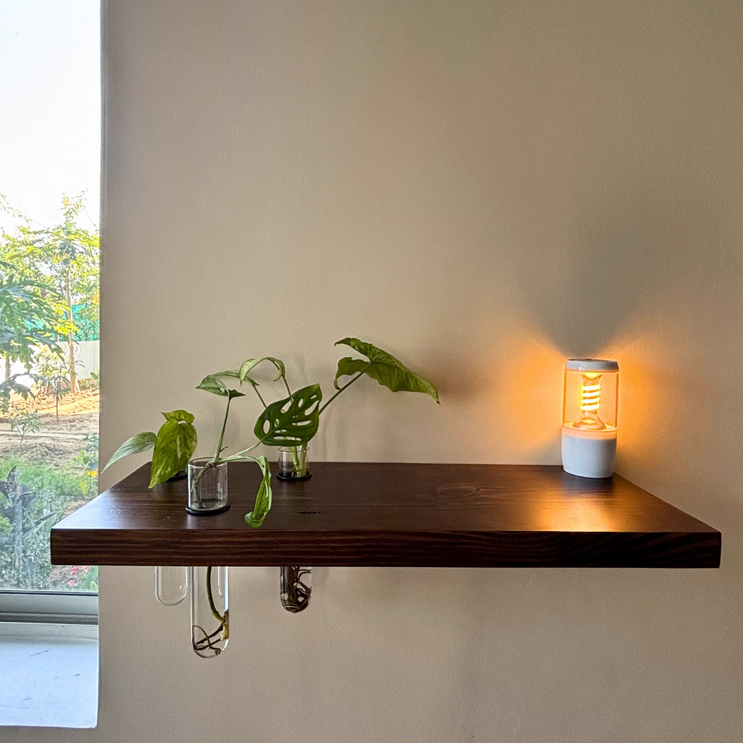 Cell 3 – Solid Wood Floating Shelf | Classic Walnut Matt | 2 Ft × 9 In