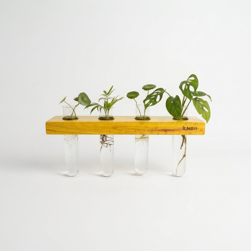 Solid Wood Hydroponic Wall Planter Set – Soft Yellow | Linea Series by ILNOR