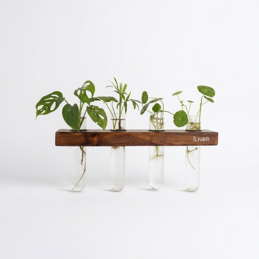 Solid Wood Hydroponic Wall Planter Set – Classic Walnut| Linea Series by ILNOR