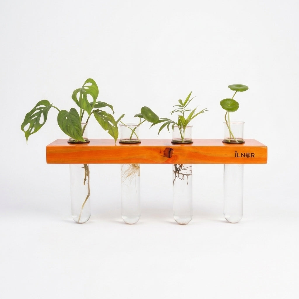 Solid Wood Hydroponic Wall Planter Set – Poppy Orange | Linea Series by ILNOR
